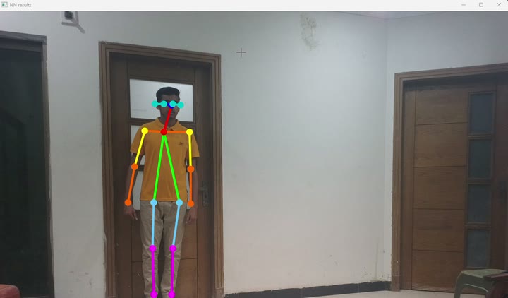 Full-body skeletal keypoints — torso, limbs, face — tracked frame to frame as a person moves.